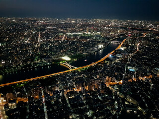 A Blockbuster view of the Tokyo Cityscape