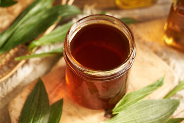 Homemade ribwort plantain syrup for cough in a glass jar