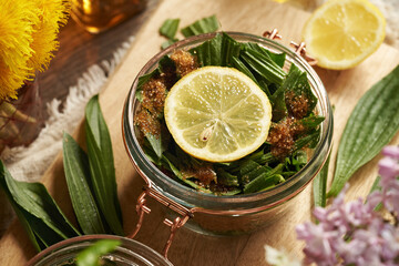 Preparation of ribwort plantain syrup for cough from fresh leaves, sugar and lemon - 788799824