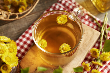 A cup of herbal tea with fresh coltsfoot flowers flowers - 788799837