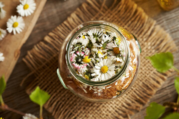 A jar filled with fresh lawn daisy flowers and cane sugar - preparation of herbal syrup - 788799877