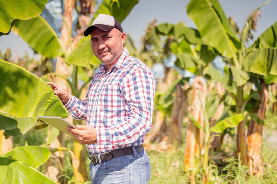Man looking at camera with electronic device in a banana farm in Guatemala.
