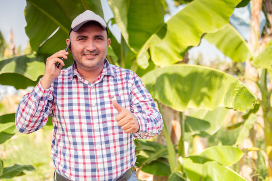Man talking on a cell phone at a banana farm.