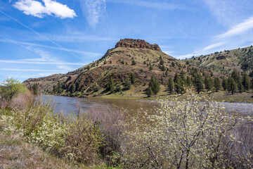 John Day River in spring blooming season, Oregon