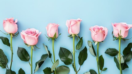 A stunning arrangement of beautiful pink roses set against a soft pastel blue background perfect...