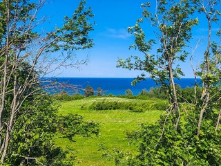 A tranquil ocean bay with shimmering blue waters, embraced by towering trees, blooming wildflowers, and a lush green meadow, providing a peaceful backdrop for relaxation and enjoying natures beauty.