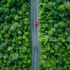 "Journey Through the Canopy: Aerial View of Forest Road and Greenery"