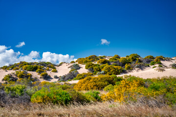 Sand dunes in Lancelin, Western Australia