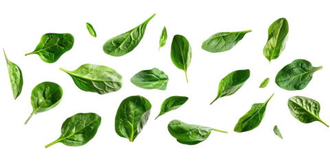 Falling baby spinaches leaves over isolated transparent background