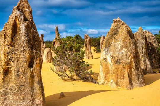 Lunar lanscape of the Pinnacles Desert at Nambung National Park, Western Australia, Australia