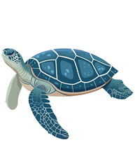 sea turtle flat illustration isolated on white transparent background. PNG format