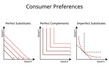 Consumer Preferences in economics for perfect substitute, perfect complements, imperfect substitutes