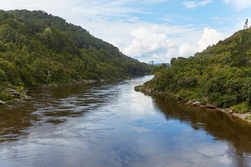 River in the New Zealand wilderness - 788831424