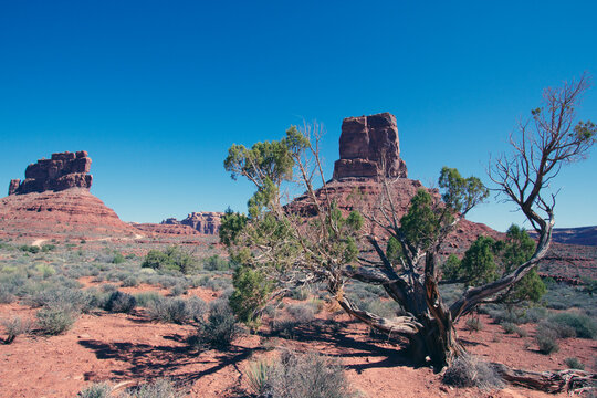 Garden of the Gods is federal BLM land filled with massive rock formations and hoodoos, located north of Monument Valley Tribal Park in southern Utah