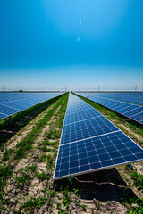 Photovoltaic Solar Panel Array Harvesting Clean Energy