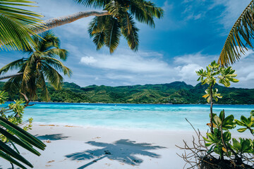 Panorama of tropical beach lush vegetation blue lagoon on bright sunny day. Vacation holidays...