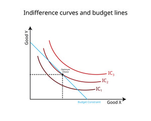 budget constraints and indifference curves graph in economics