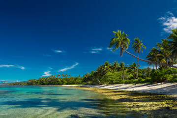 Tropical beach on south side of Samoa Island with coconut palm trees - obrazy, fototapety, plakaty