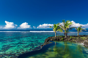 Vibrant tropical beach with palm trees, Upolu, Samoa - obrazy, fototapety, plakaty