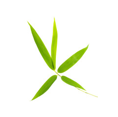 bamboo leaves isolated on white background - 788841445