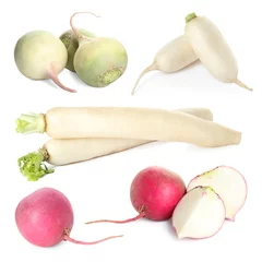 Plexiglas foto achterwand Different ripe turnips isolated on white, set © New Africa