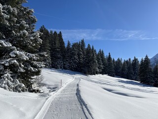 Fototapeta premium Excellently arranged and cleaned winter trails for walking, hiking, sports and recreation in the area of the tourist resorts of Valbella and Lenzerheide in the Swiss Alps - Switzerland (Schweiz)
