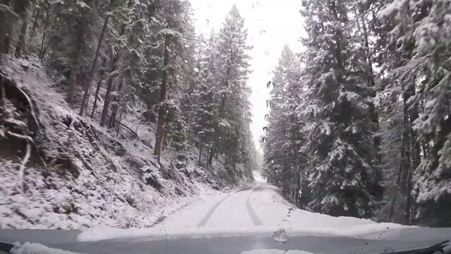Driving down a snow covered mountain forest road in the Bighorn Mountains 