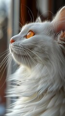 Generative AI : close up portrait of a white fluffy cat with yellow eyes