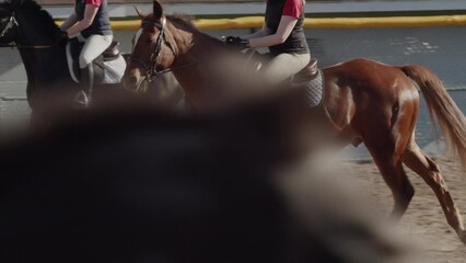 Beautiful elegance back woman cowgirl, riding a horse. Equestrian. Close up. Training process. Young teenage girl riding bay trotting horse on sandy arena practicing at equestrian school. 