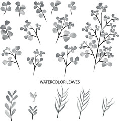 Watercolor arrangement of gray leaves, elegant hand drawn. Monochrome color. Can be used for invitation designs, backgrounds, templates RGB