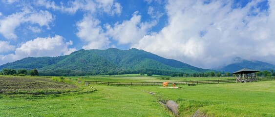 青空バックに見る新緑に包まれた蒜山高原の情景