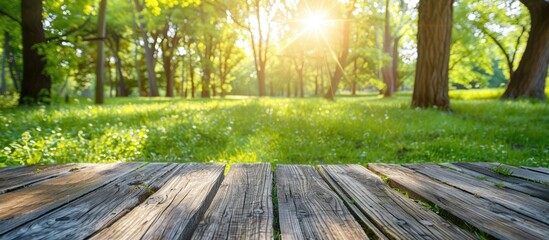 Green grass in spring with sunlight filtering through the trees onto a wooden floor creates a beautiful natural background.