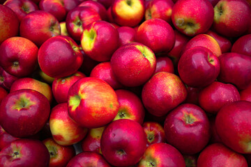 Farm Fresh Fruit and Veggies