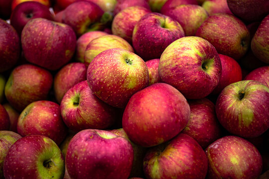 Farm Fresh Fruit and Veggies