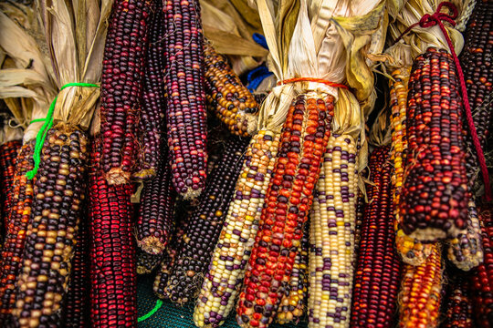 Farm Fresh Fruit and Veggies