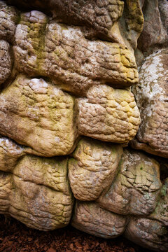Bulbous textures on a sandstone wall at Zahnd Wildlife Management Area, Georgia