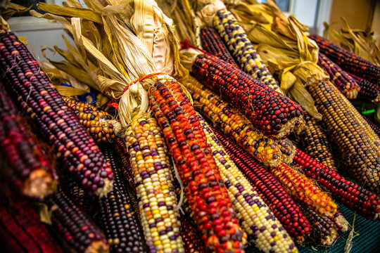 Farm Fresh Fruit and Veggies