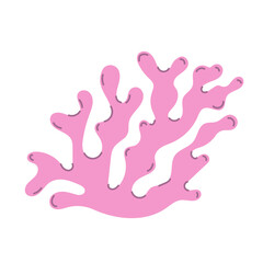 Coral Reef Illustration