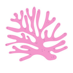 Coral Reef Illustration