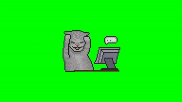 Computer cat, pixel art meme video
