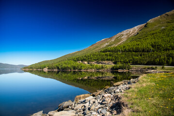 landscape with lake and mountains in Gros Morne National Park - obrazy, fototapety, plakaty