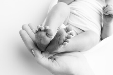 The palms of the father, the mother are holding the foot of the newborn baby. Feet of the newborn on the palms of the parents. Studio macro black and white photo of a child's toes, heels and feet.