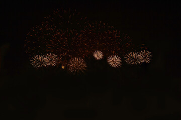 Several fireworks exploded in bright colors. Lighting up the night sky, fireworks include red,...
