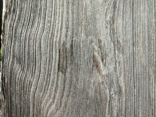 teak wood plank
