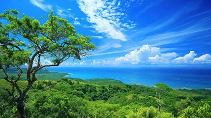 Obraz premium Clear blue skies overhead complement the pristine landscapes, a testament to a healthy environment.