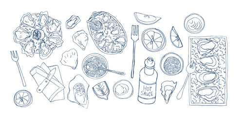Oysters and oysters on the half shell dishes with lemon wedges, on ice. Hand drawn vector illustration. Top view. Restaurant food menu. Doodle sketch style.