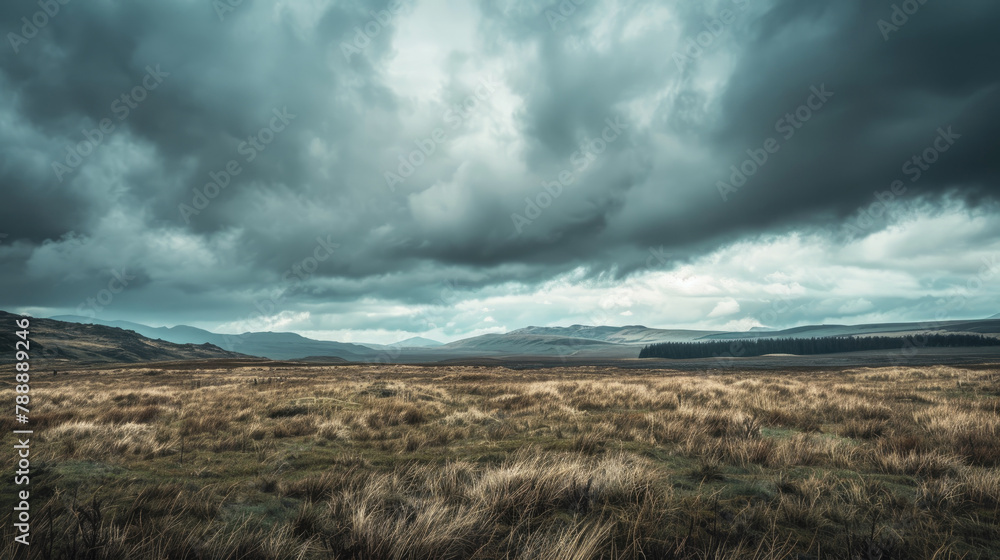 Wall mural Dramatic cloudy sky over vast moorland with sparse vegetation in a panoramic landscape