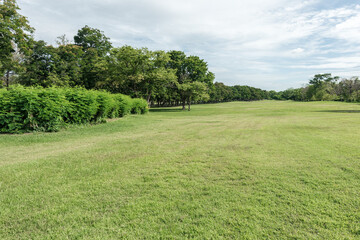 Beautiful landscape in park with green grass field - 788891004