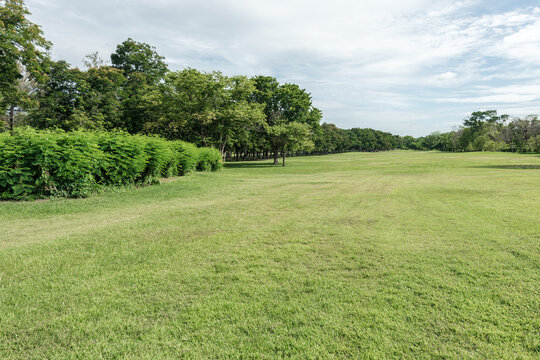 Beautiful landscape in park with green grass field