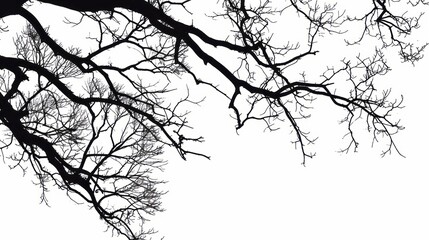 Obraz premium Black tree branches on a white background in a simple vector art style with a flat design and simple details in a minimalist style.